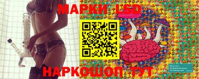 гидра Владикавказ