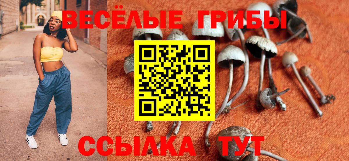 Галлюциногенные грибы Cubensis  Галлюциногенные грибы MAGIC MUSHROOMS  Мурино  Вход с VPN 